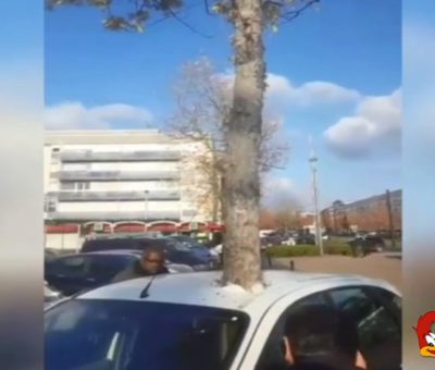 Sebuah Pohon Tumbuh di Dalam Mobil