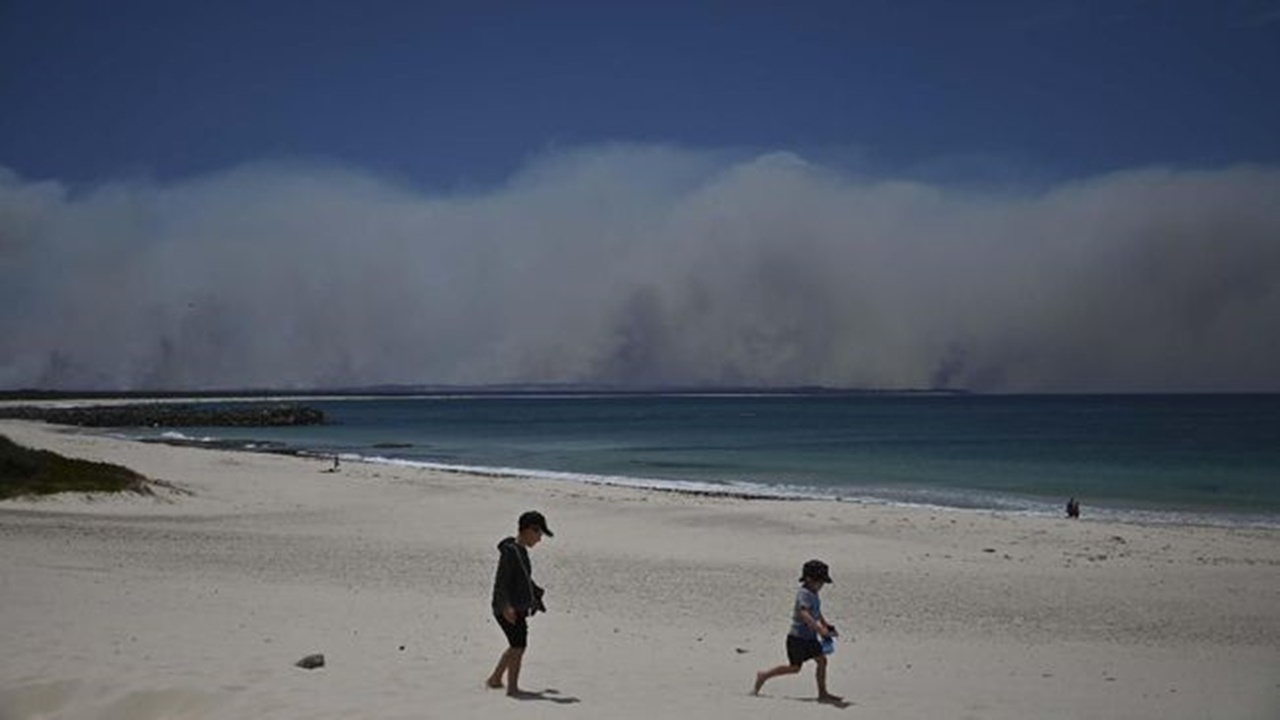 Kabut Asap Tebal Selimuti Sydney, Perjalanan Feri Dibatalkan