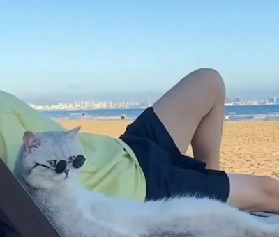 Pria Ini Ajak Kucing yang Dianggap Pacar Traveling Keliling Dunia