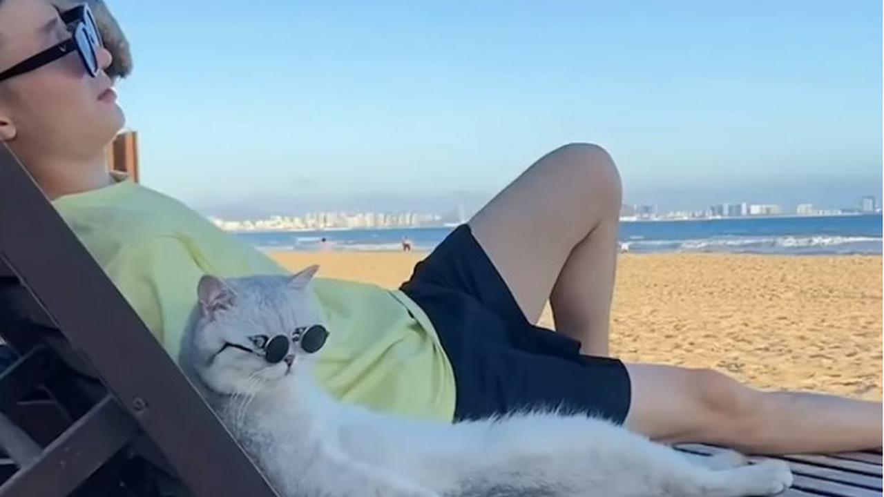 Pria Ini Ajak Kucing yang Dianggap Pacar Traveling Keliling Dunia