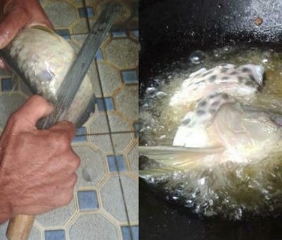 Ikan Arwana Seharga Rp 2 Juta Milik Pria Ini Digoreng Sang Ayah