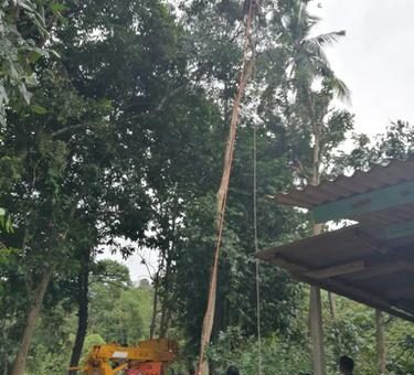 Kakek 68 Tahun Tewas di Atas Pohon Setinggi 30 Meter